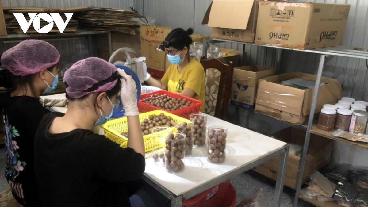 Khởi nghiệp thành công nhờ chế biến nông sản hữu cơ