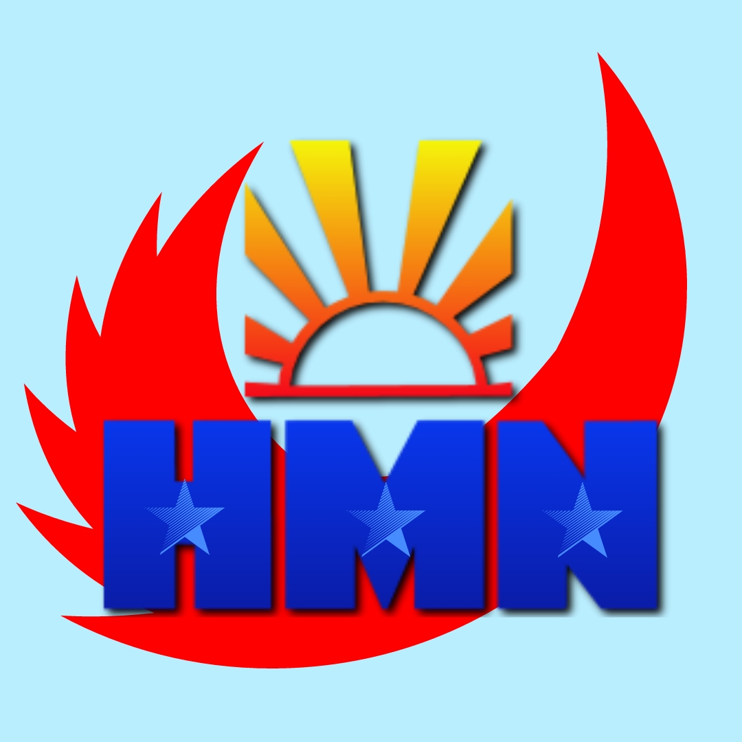 CÔNG TY TNHH THƯƠNG MẠI VÀ DỊCH VỤ HẢI MINH NAM