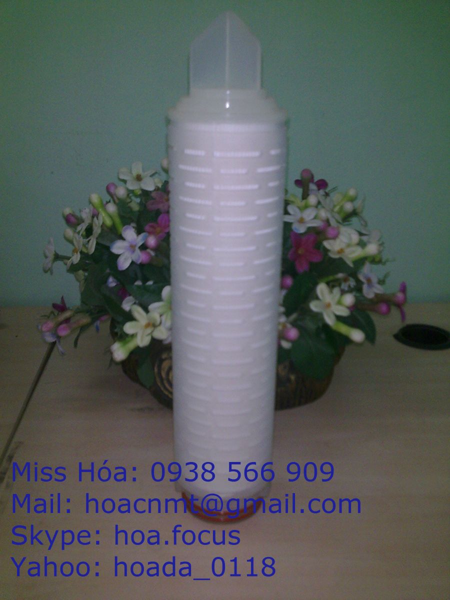 Lõi lọc tinh
