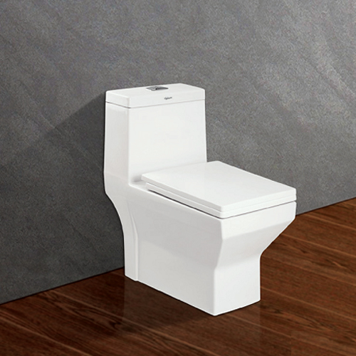 BỒN CẦU VIGLACERA V42