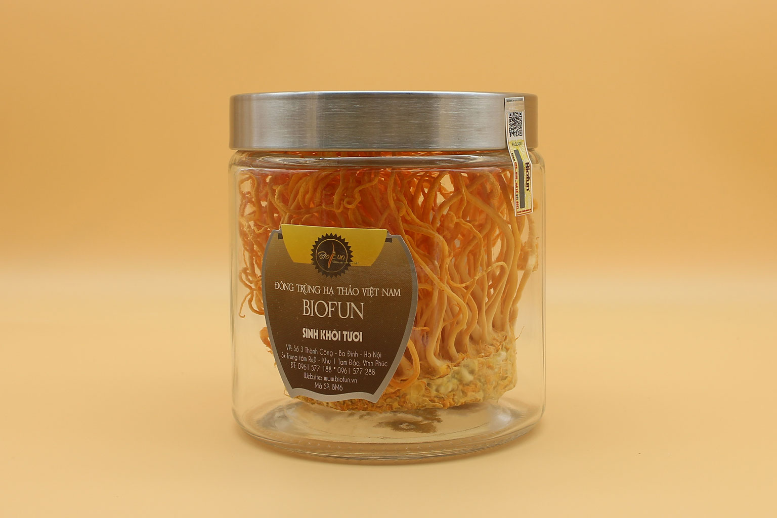 Đông Trùng Hạ Thảo Sinh Khối Tươi - BIOFUN