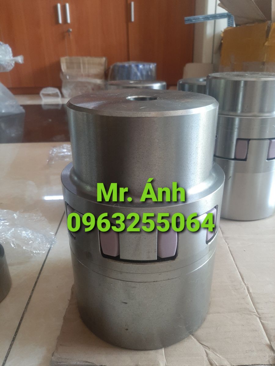 Khớp nối Rotex 48 hãng KTR, Đức