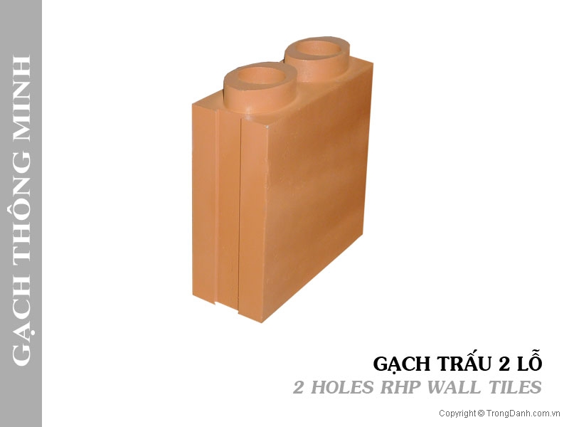 Gạch Trấu 2 Lỗ