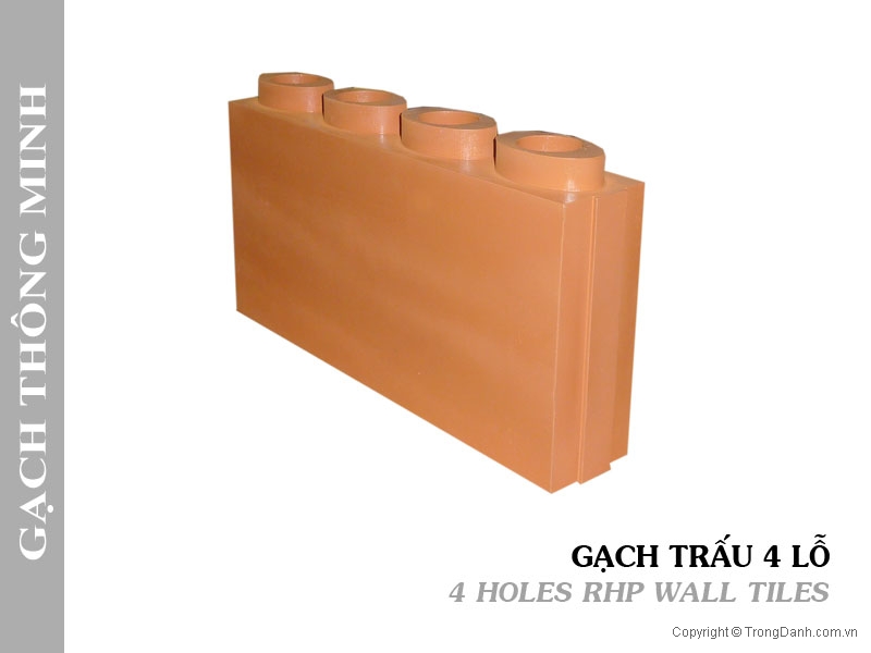 Gạch Trấu 4 Lỗ