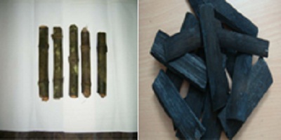 Than tre hoạt tính