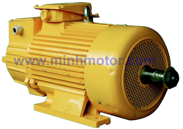 Động cơ Rotor ruột quấn YZR