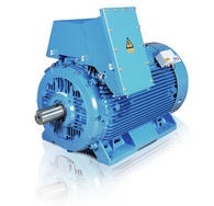 Động cơ High Voltage Induction Motors