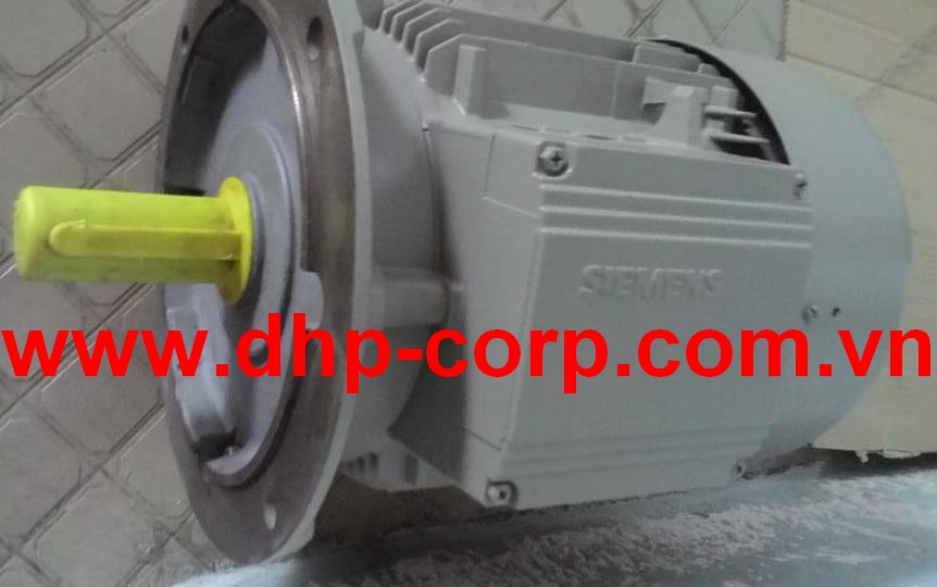 Động cơ điện Siemens Châu Âu 1LG4316-2AB64: 160 kW, 2 cực, mặt bích