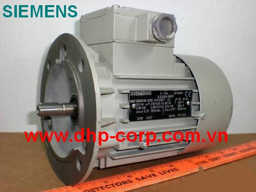Động cơ điện Siemens Cộng hòa Czech 1LG4310-2AB61: 110 kW, 2 cực, mặt bích