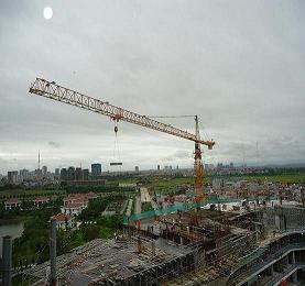 Cẩu th&aacute;p Hangyang Lieherr