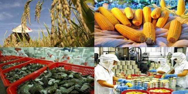 Xuất khẩu của khối doanh nghiệp trong nước tăng trưởng ấn tượng