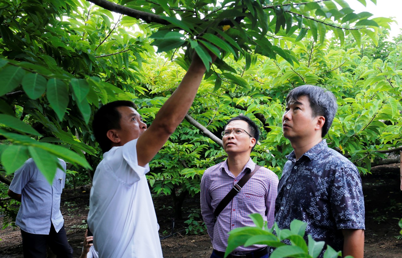 Thúc đẩy hoạt động bảo hộ sở hữu trí tuệ cho các sản phẩm đặc sản địa phương