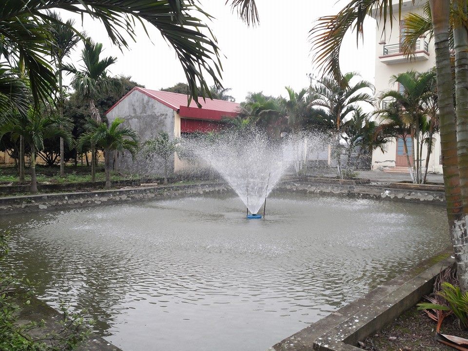 Máy bơm sục khí