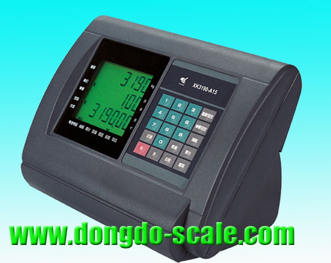Bộ chỉ thị XK3190 - A15