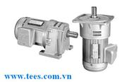 Động cơ giảm tốc Tunglee