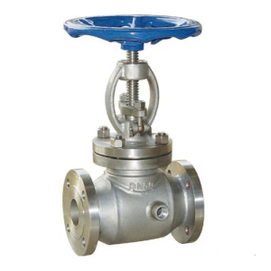 Van cầu lông DN25，PN16, SS316 /Jacket Globe Valve