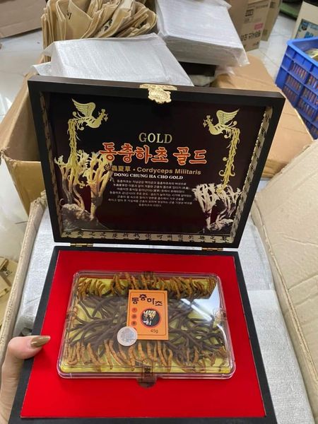 Đông Trùng Hạ Thảo Nguyên Con Hàn Quốc Sấy Hộp Gỗ Khô 45g 