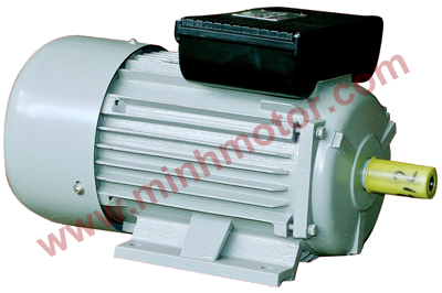 Động cơ điện một pha YL