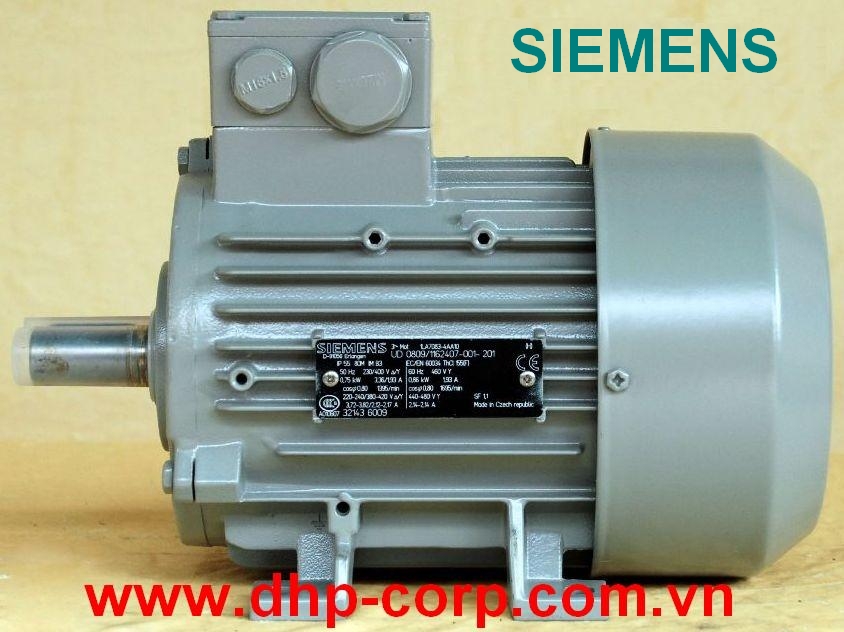 Động cơ điện Siemens Germany – Đức 1LA7080-4AA10: 0.55 kW, 4 cực, chân đế