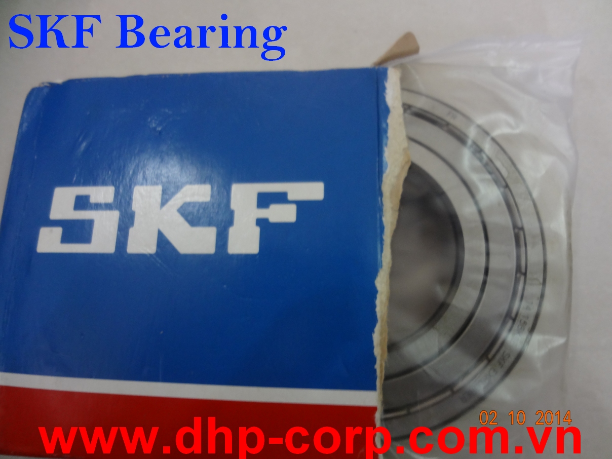 Vòng bi SKF cho động cơ điện
