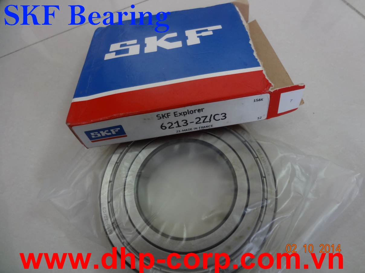 Bạc đạn SKF