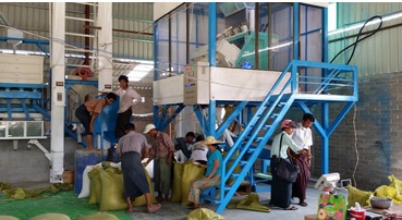 Máy tách màu gạo 10R